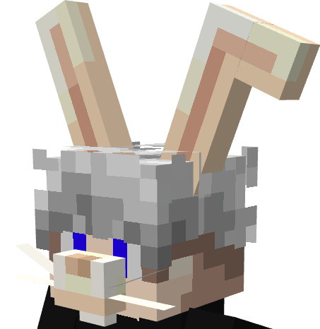 OREILLES DE LAPIN